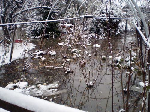 csotores_diosgyor2_120126_o.jpg
