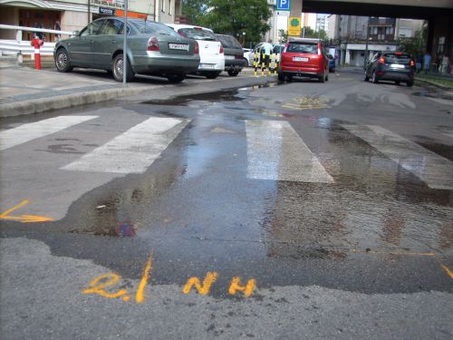 csotores_szemere_aranyju_120712_csl_01.jpg