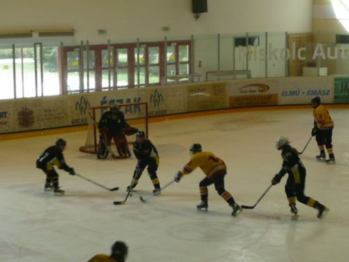 demonok_vadmacskak_120407_li_7.jpg