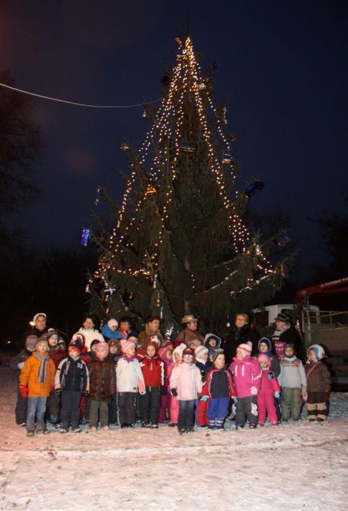 diosgyorkaracsonyfa_121211_ml.jpg