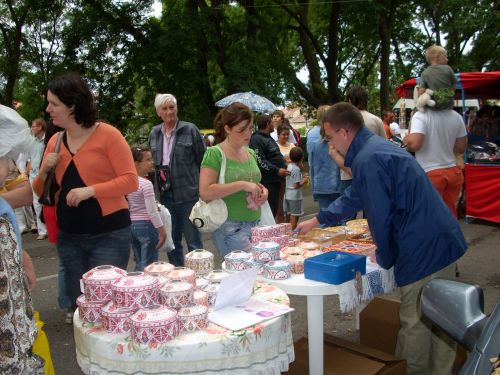 dsci0457.jpg