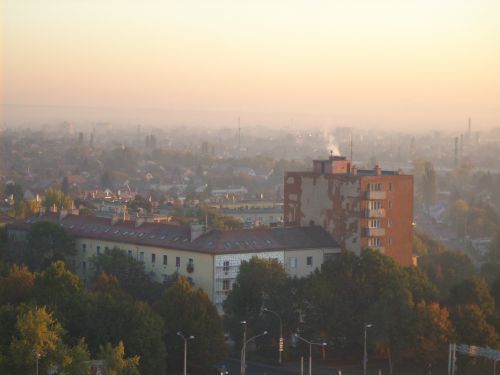 dsci5460.jpg