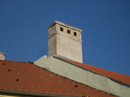 dsci5462.jpg