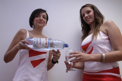 dvtk_viz_120810_ja_3.jpg