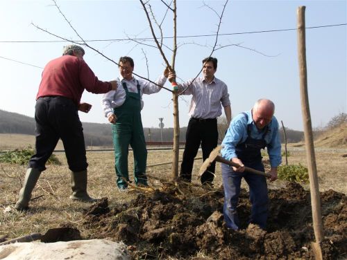 faultetes-120324ml_06.jpg