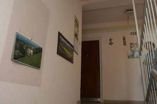 feszekrako_120913_ja_12.jpg