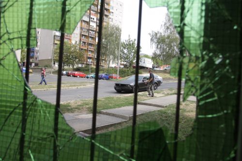 feszekrako_120913_ja_19.jpg