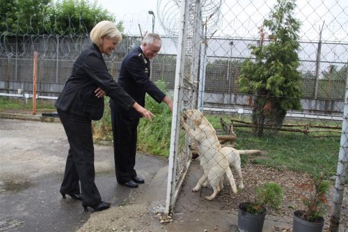 fiatalkoruak_bortone_130626_ja_3.jpg