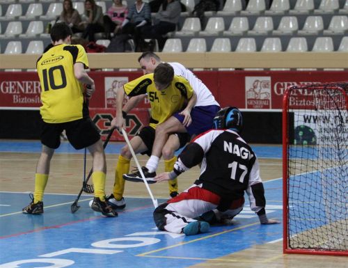 floorball_130217ml_21.jpg