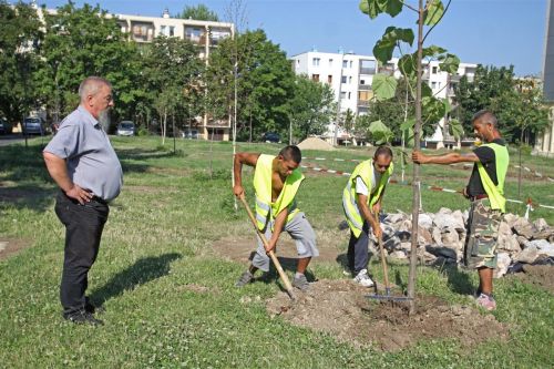 fodor_zoltan_korzet_130826_ja_13.jpg