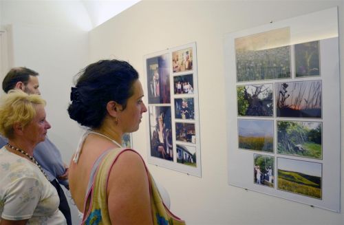 gomori_kiallitas_130704_fkcs_6.jpg