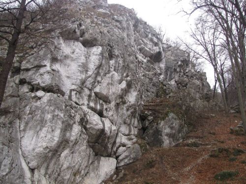 hamoriongyilkos120124_csl4.jpg