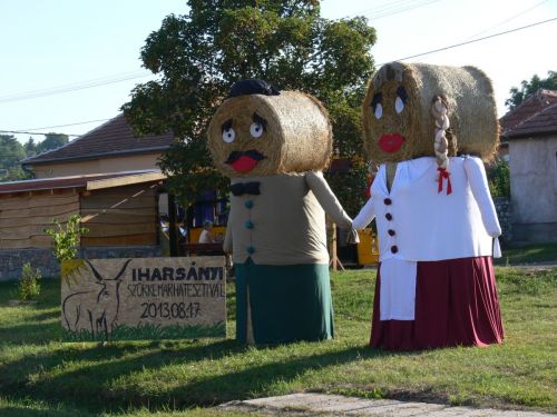 harsanyszurkemarha_behari.jpg