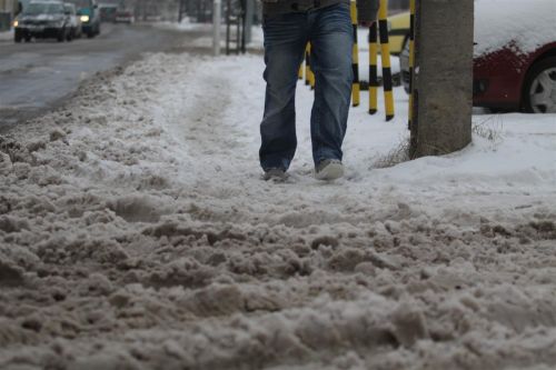havas_jarda_130211_ja_1.jpg