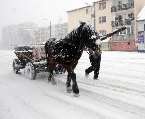 havazas_marc15_130315_ja_19.jpg