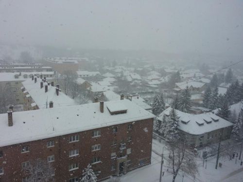 ho-bartus-130315.jpg