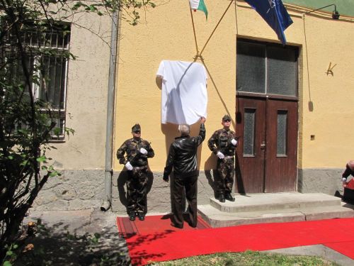 honilegvedelem120518_csl3.jpg