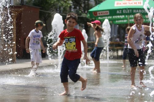 hoseg_nyar_130617_ja_14.jpg