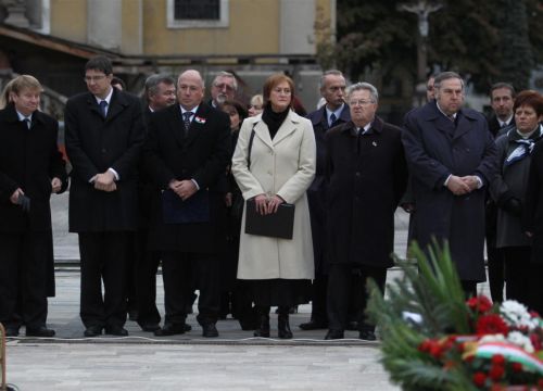 hosok_tere_111022_ja.jpg