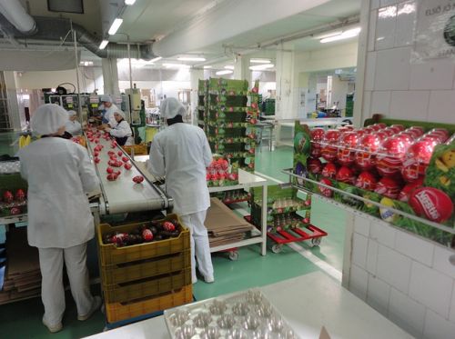 husvetitojas_nestle_120320.jpg
