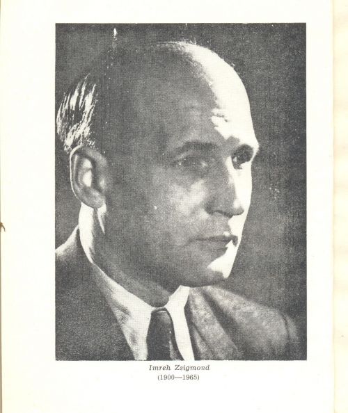 imreh_zsigmond.jpg
