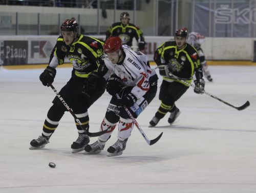 jegesmedvek_dab_120219_ja_15.jpg
