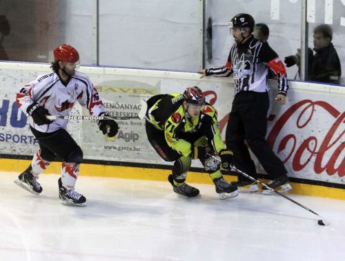 jegesmedvek_dab_130307_ja_10.jpg