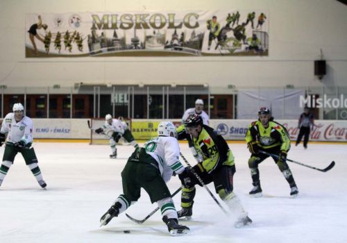 jegesmedvek_ftc_130327_ja_32.jpg