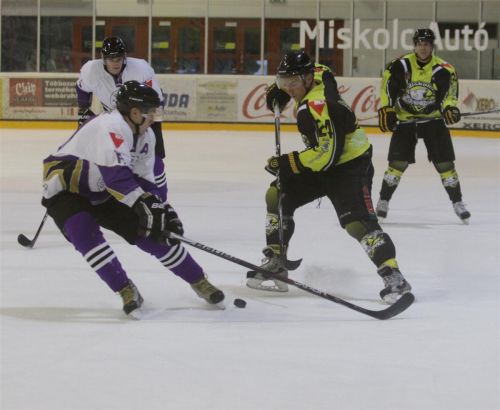 jegesmedvek_ujpest_120916_ja_8.jpg
