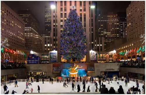 karacsonyfa_newyork.jpg
