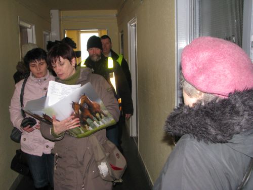 kiralyut1_szs_120214.jpg