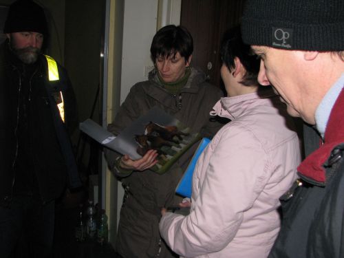kiralyut3_szs_120214.jpg
