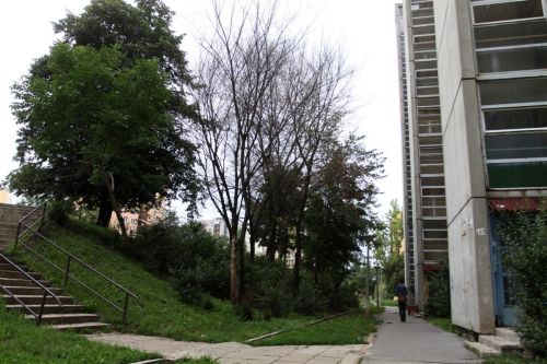 kiszaradtfak_afonyas_110802_ja_3.jpg