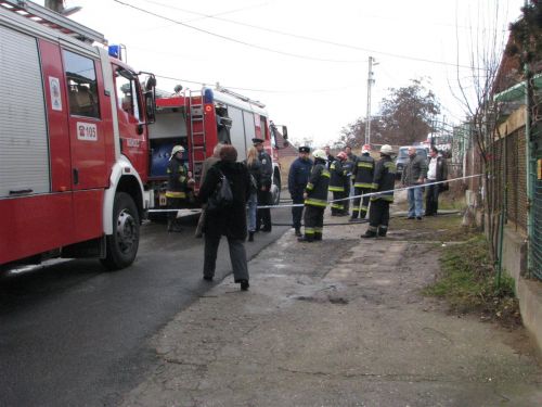 koporostuz_ta_0109.jpg
