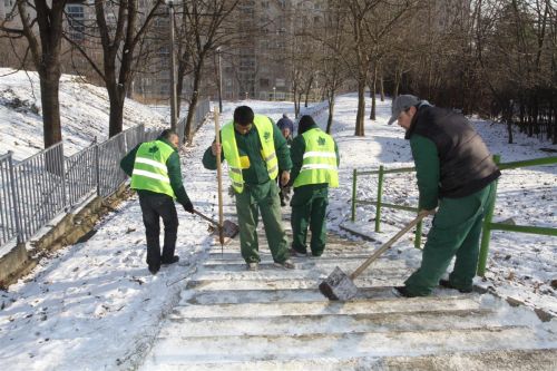 kozmunka_120127_ja_2.jpg