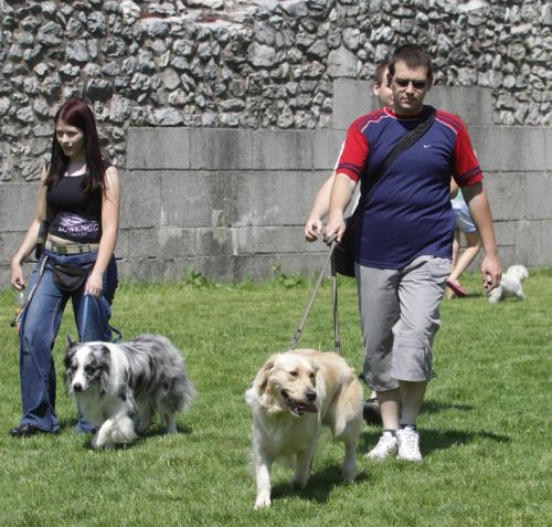 kutyamustra120512_ja2.jpg