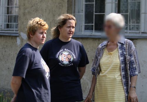 macskak_misek_110718_ja.jpg