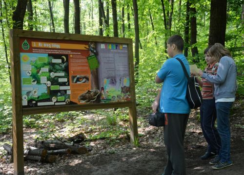 madarak_faknapja_130515_2.jpg