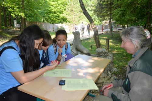 madarak_faknapja_130515_5.jpg