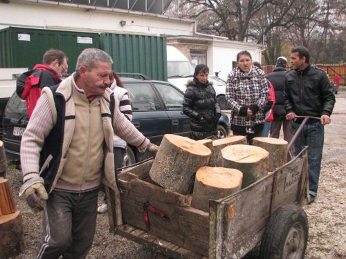 maltaifaadomany121126_csl3.jpg