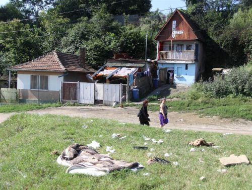 mezoorseg_ellenorzes_110803_ja_6.jpg