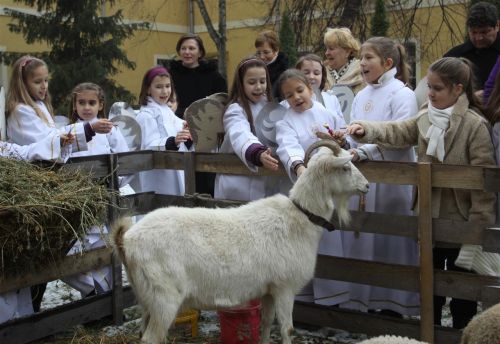minorita_elo_betlehem_121225_ja_2.jpg