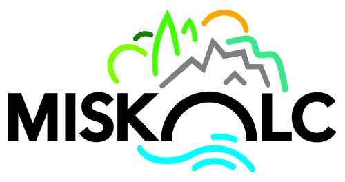 miskolc_logo_color.jpg
