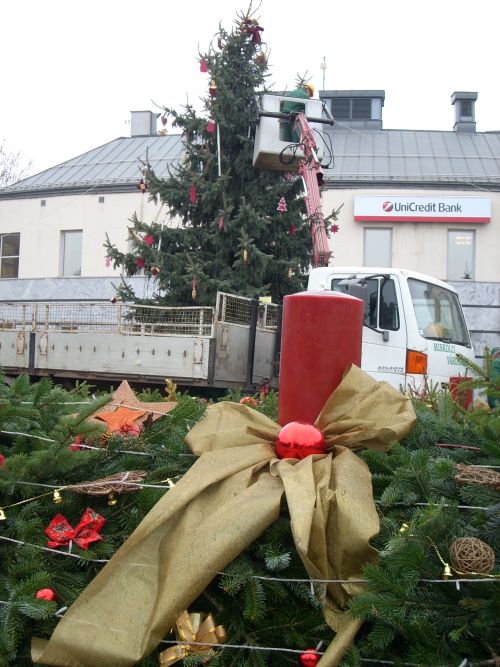 miskolcfaja_111129_csl2.jpg