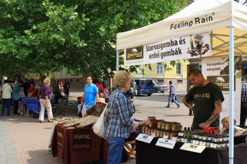 miskolczivasar_20120603_ka_09.jpg