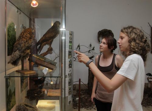 muzeumej_hermanotto_muzeum_120616_5.jpg