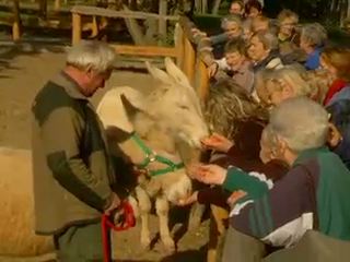 oszinapsugar_allatkert_121010_tv-4.jpg