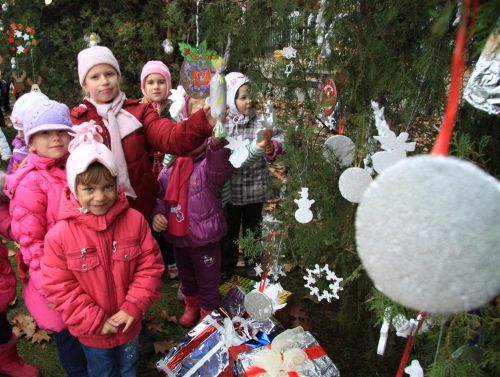 ovodasok-fadiszites_121126ml_20.jpg
