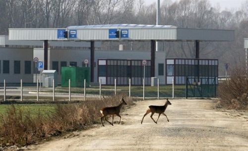 ozbakok_autopaly.jpg