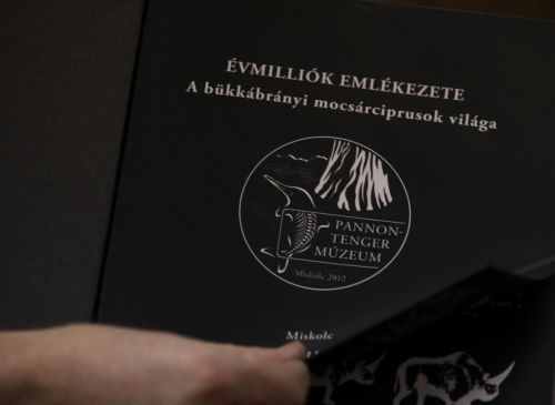 pannon_tenger_120124_ja_1.jpg